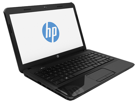 HP 240