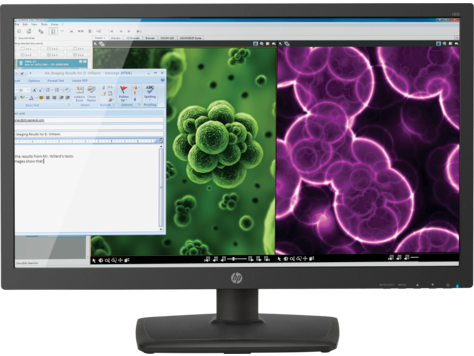 HP t310 All-in-One Zero Client HP t310 All-in-One Zero Client